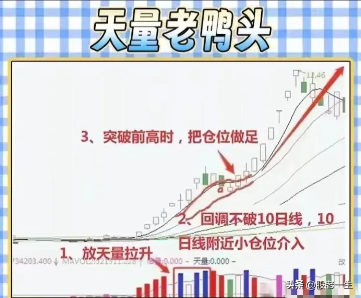 “老鸭头形态”