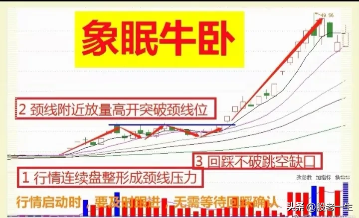 “象眠牛卧‘’形态