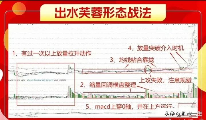 出水芙蓉形态技术要点