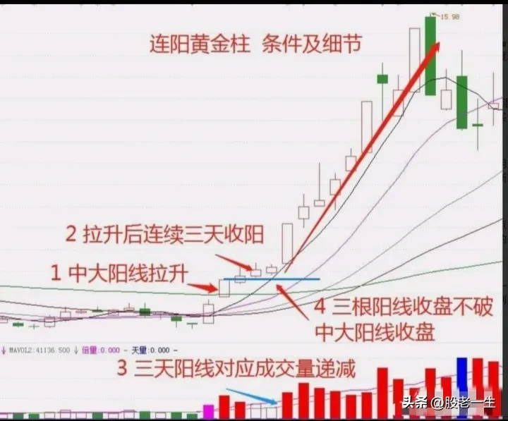 连阳黄金柱技术特征