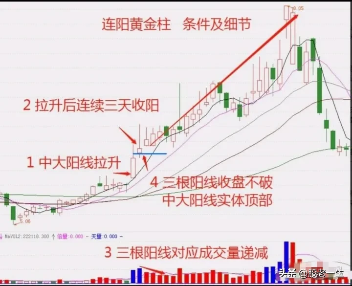 连阳黄金柱技术特征