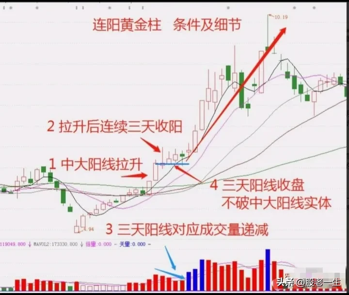 连阳黄金柱技术特征