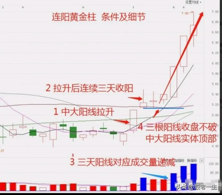 连阳黄金柱技术特征