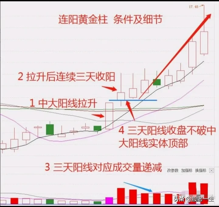 连阳黄金柱技术特征