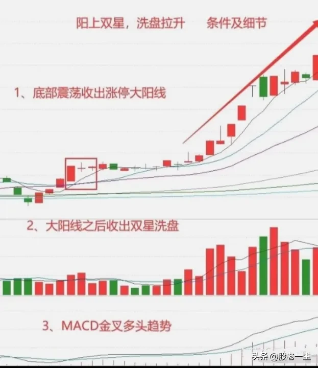 阳上双星技术
