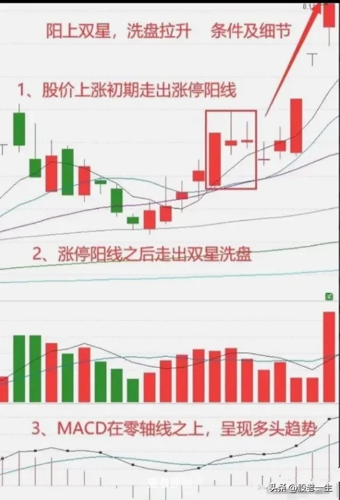 阳上双星技术