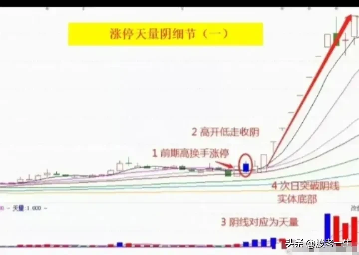 涨停天量阴细节