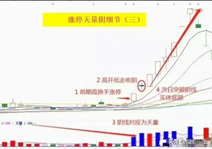 涨停天量阴细节