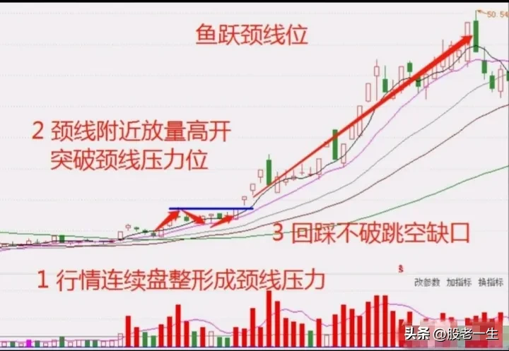 鱼跃颈线位