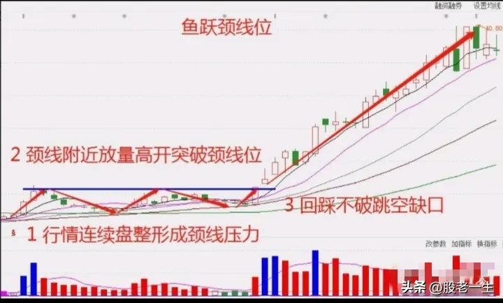 鱼跃颈线位