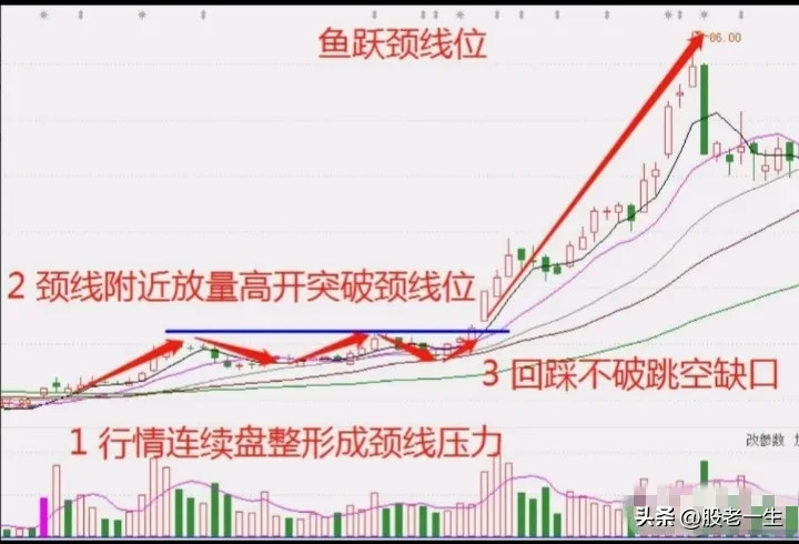 鱼跃颈线位