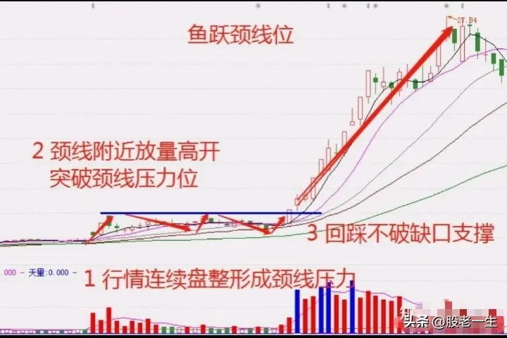 鱼跃颈线位