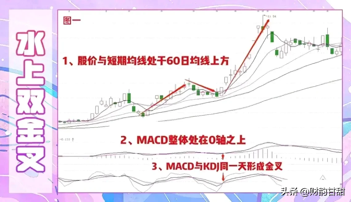 股市新动态分享