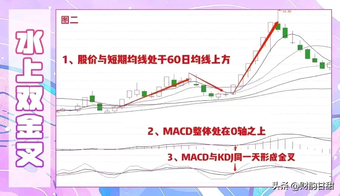 股市新动态分享