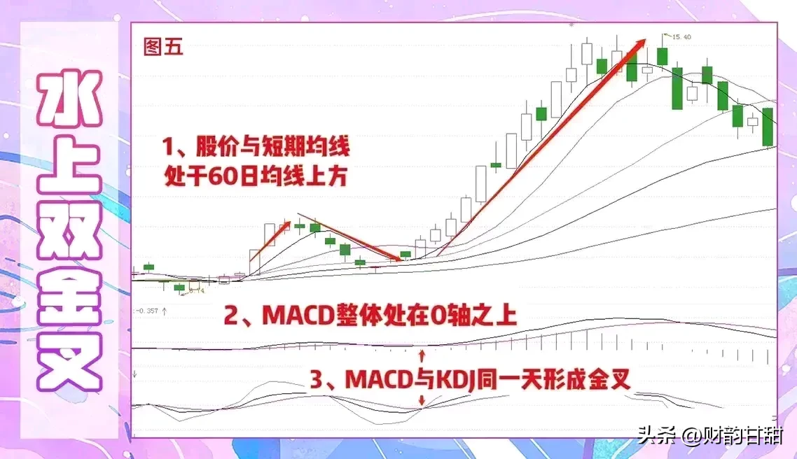 股市新动态分享