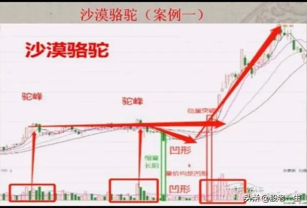 炒股这么久第一次知道什么叫赚钱绝招谁懂这一招抓主升行情的厉害程