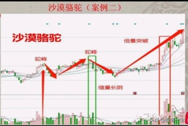 炒股这么久第一次知道什么叫赚钱绝招谁懂这一招抓主升行情的厉害程