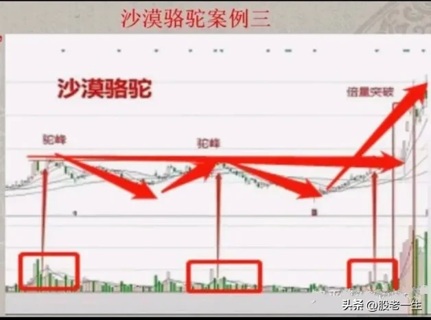 炒股这么久第一次知道什么叫赚钱绝招谁懂这一招抓主升行情的厉害程