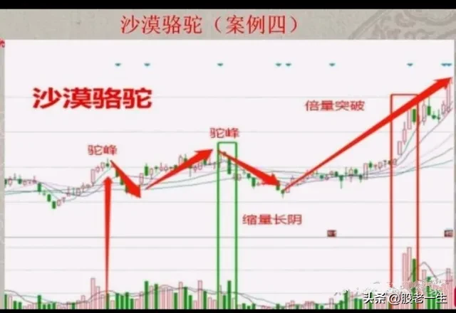 炒股这么久第一次知道什么叫赚钱绝招谁懂这一招抓主升行情的厉害程