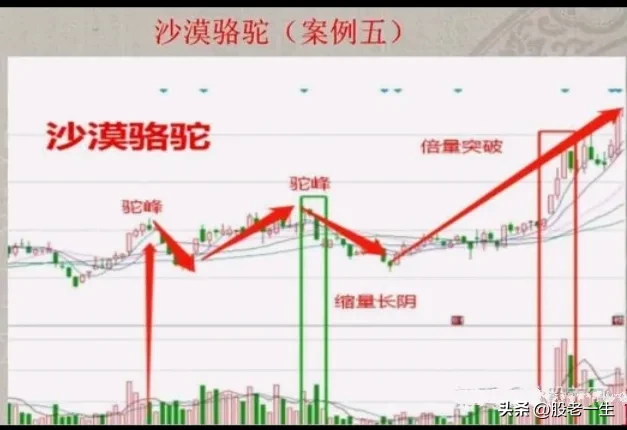 炒股这么久第一次知道什么叫赚钱绝招谁懂这一招抓主升行情的厉害程