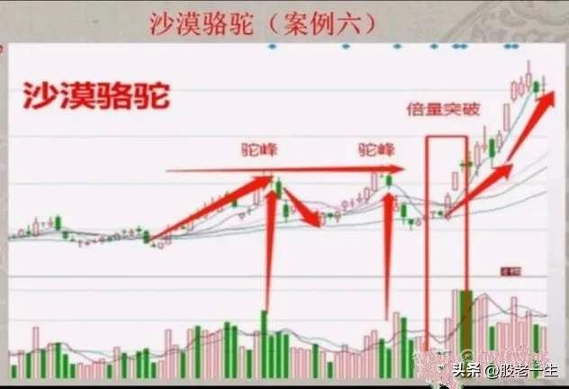 炒股这么久第一次知道什么叫赚钱绝招谁懂这一招抓主升行情的厉害程