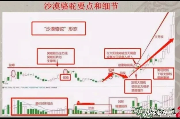 炒股这么久第一次知道什么叫赚钱绝招谁懂这一招抓主升行情的厉害程