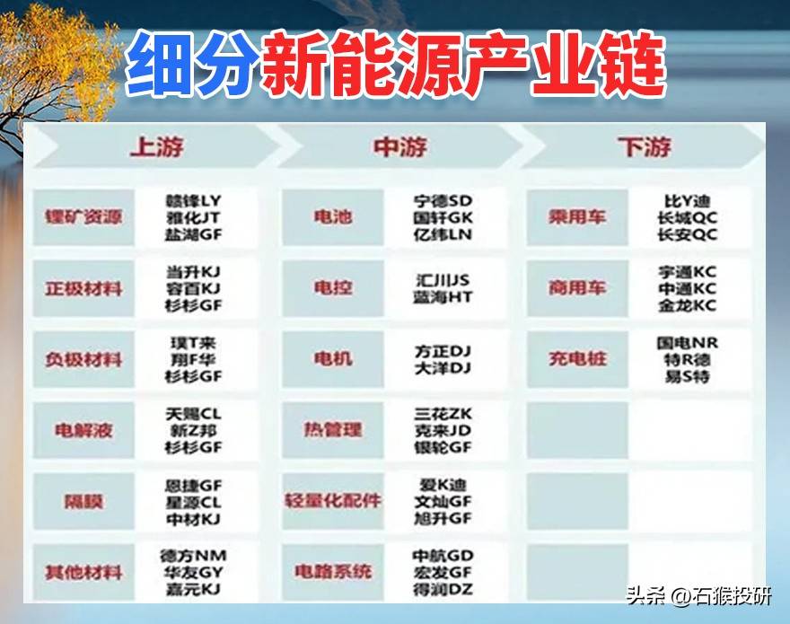 细分龙头