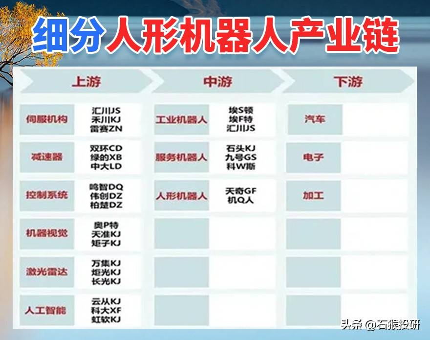 细分龙头