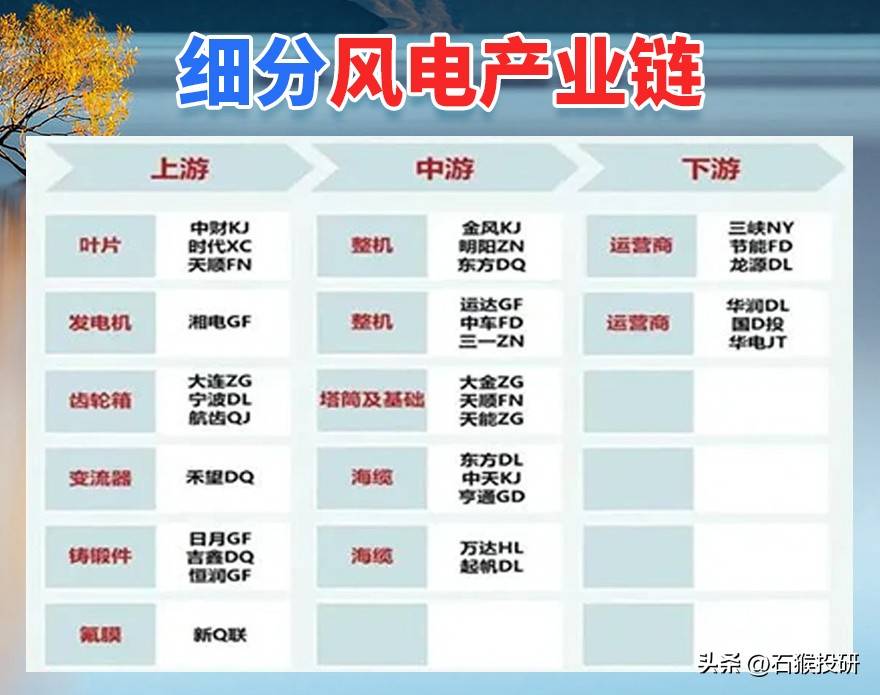 细分龙头