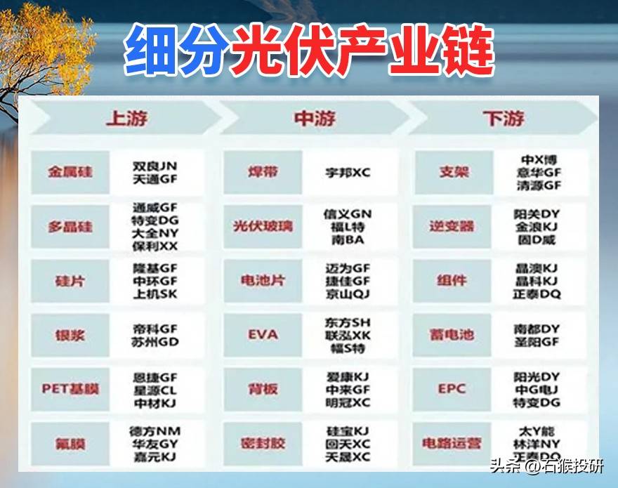 细分龙头