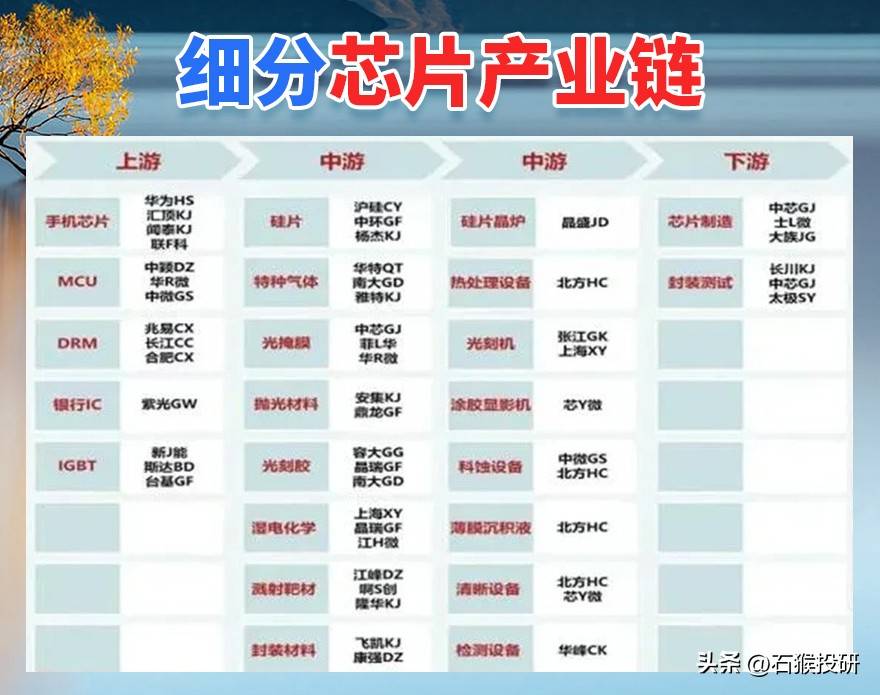 细分龙头