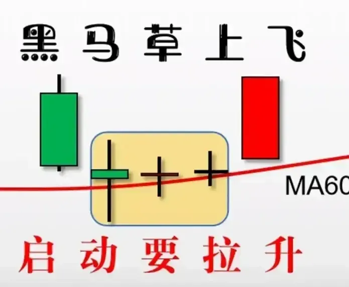 每日形态一学(黑马草上飞)