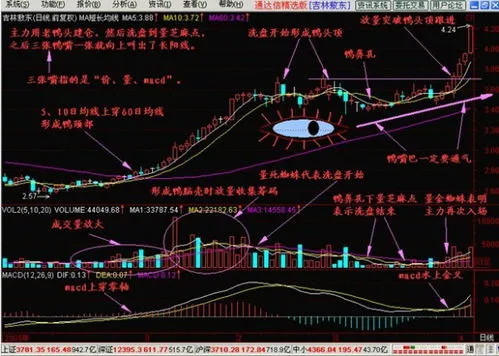 为啥我要坚持技术分析呢？