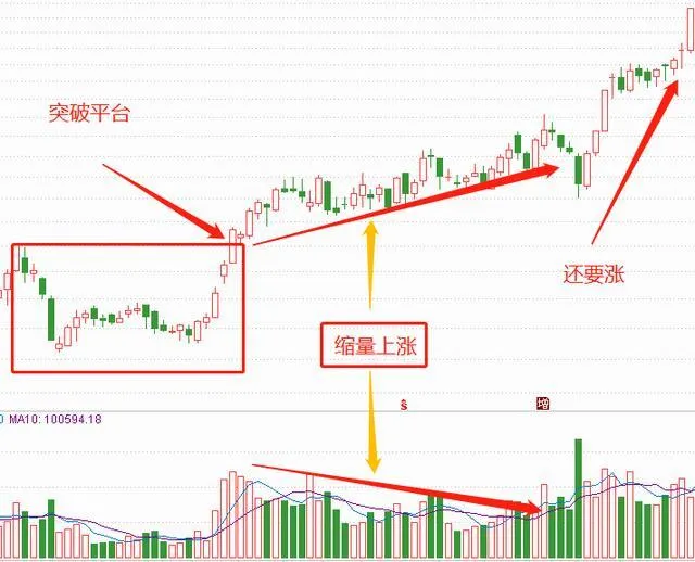 股市震荡的时候散户该做什么
