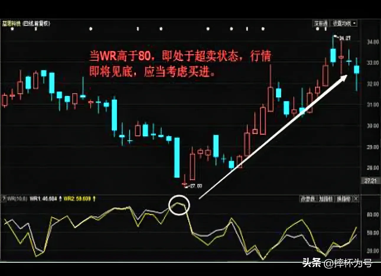 趋势必涨