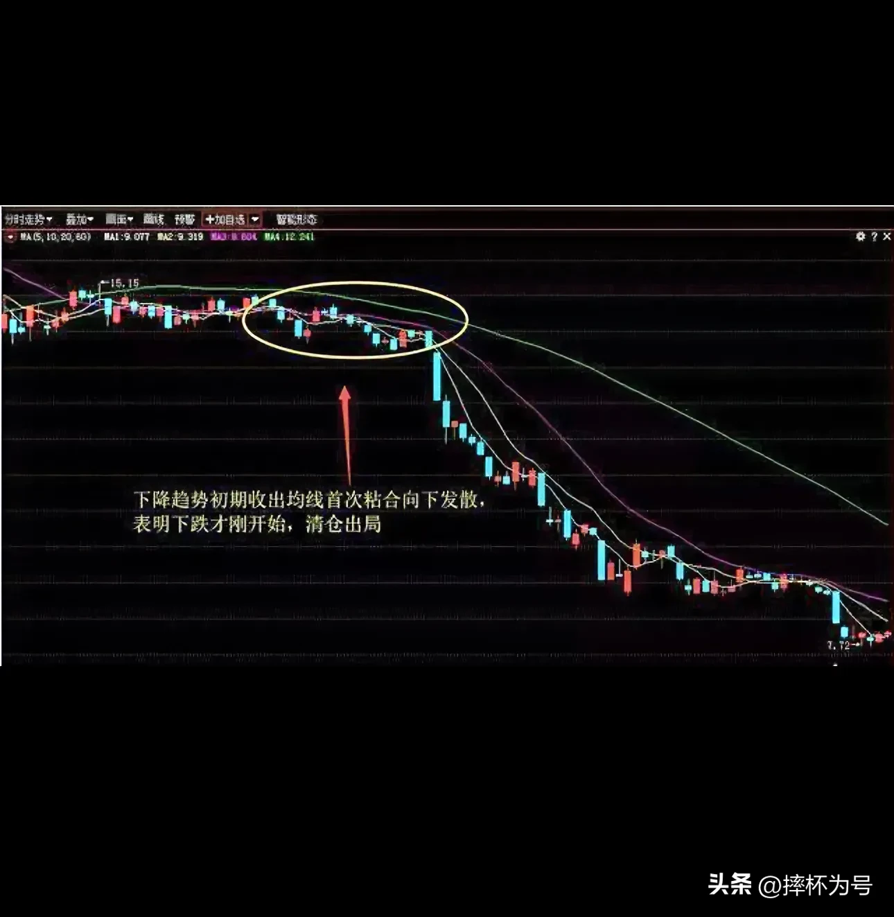 宝藏兴趣攻略