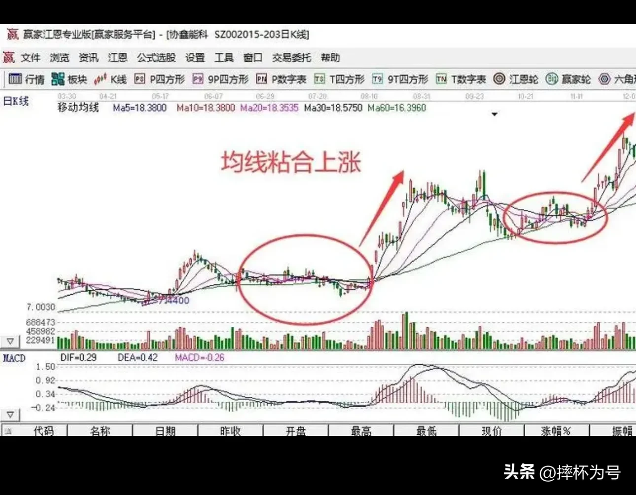 怎样发现均线粘合的股票