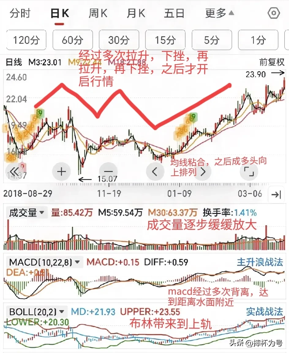 股市新动态分享