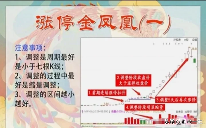 炒股有何收获？