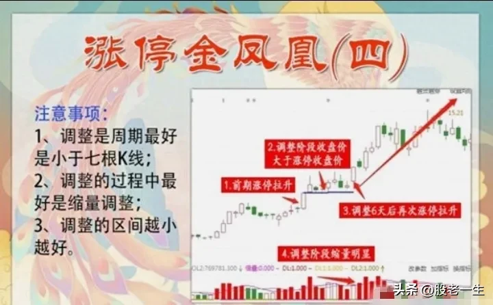 炒股有何收获?
