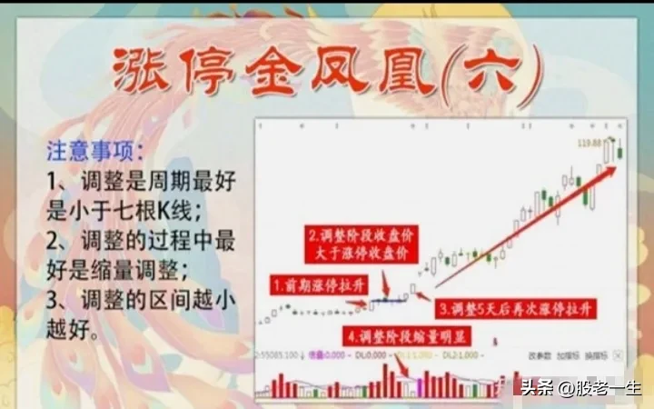 炒股有何收获?