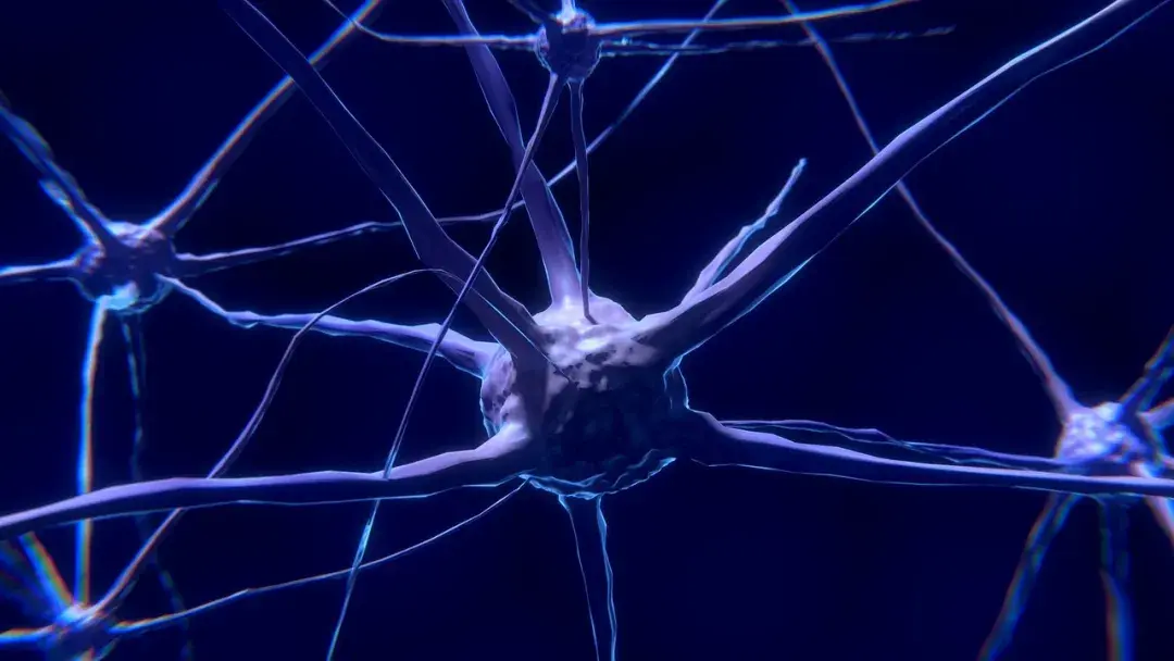 一文总结马斯克最新八小时访谈NeuralinkxAI及人类未来