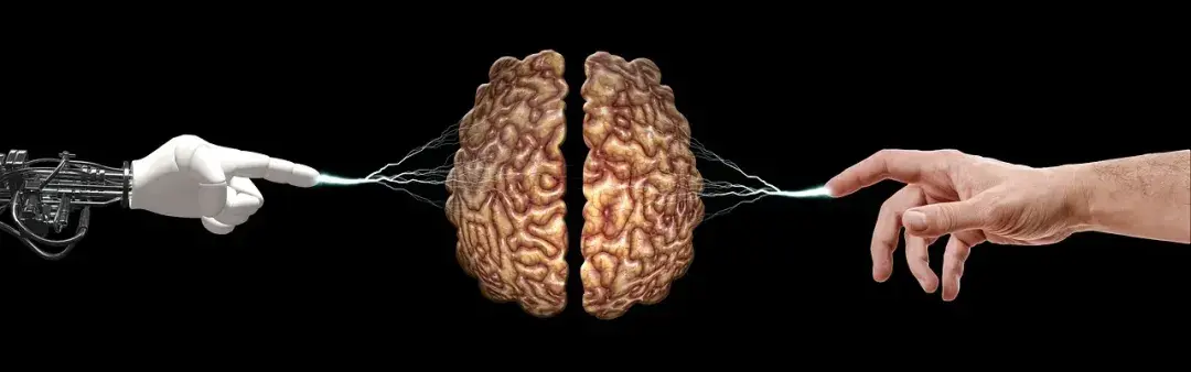 一文总结马斯克最新八小时访谈NeuralinkxAI及人类未来