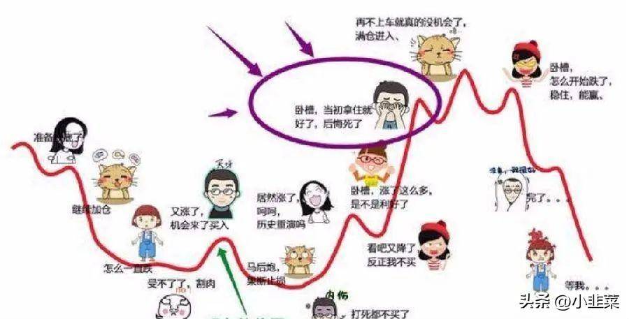 中国股市这次决定把自己一年时间5万做到50万的炒股经验分享