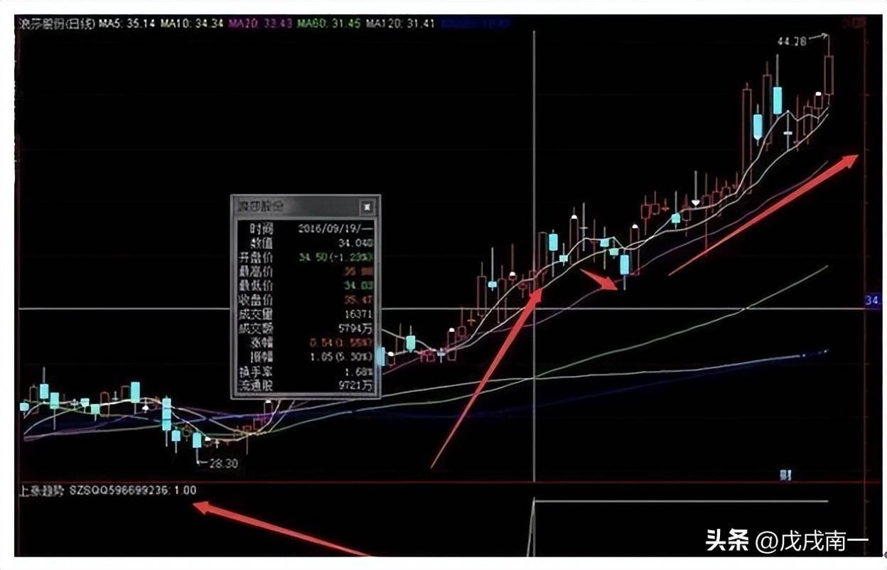 教你用最笨的方法在股市中赚钱牢记16个字就足够看完受益终身