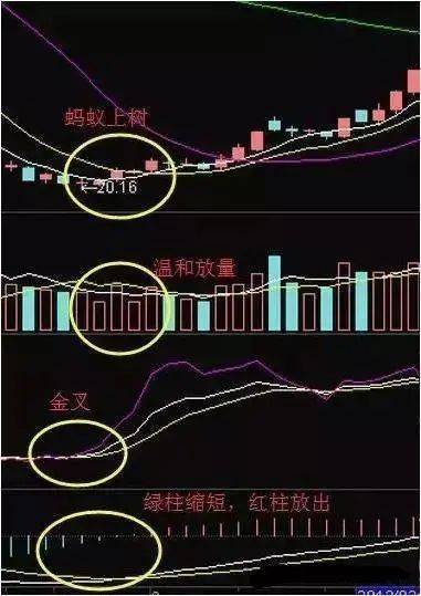 中国A股一旦出现蚂蚁上树散户注意了主升浪即将到来！