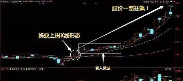 中国A股一旦出现蚂蚁上树散户注意了主升浪即将到来！