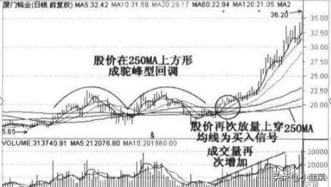 中国股市股票前一天拉涨停第二天却急跌主力没赚钱就跑了吗