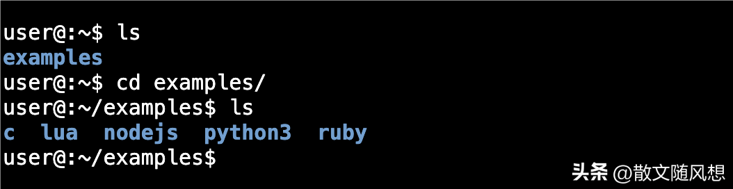 浏览器上的虚拟机直接线上练习各种编程语言包括Linux命令