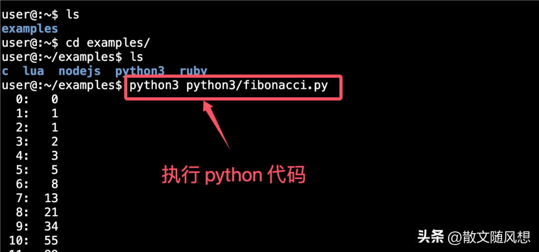 浏览器上的虚拟机直接线上练习各种编程语言包括Linux命令
